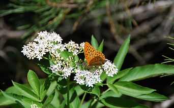 DSC_0853.JPG