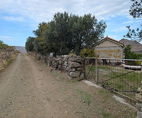 Roots of the Eressos Plain