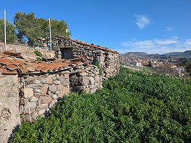 Edge of the View
