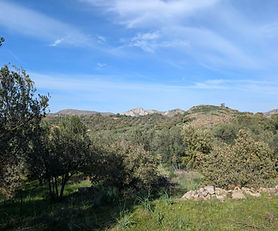 The Silver Landscape