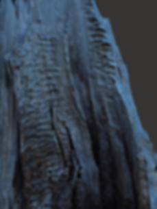 image (16).png