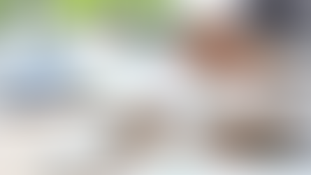 Unlocking Supplier Excellence with Veeva Quality Suite: A Comprehensive Implementation Guide