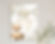 Beary Special Birthday Teddy Bear Birthday Invitation