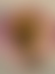 A Taste of the Mediterranean