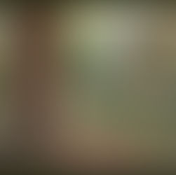 Manifesting Your Dream Reality