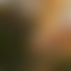 Japan: The Art of Travel