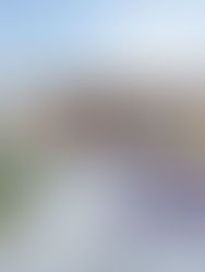 HOME: A Dreamy Haven in the Mesa Neighborhood