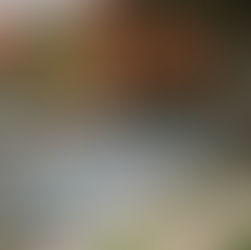 Lost & Found in San Miguel