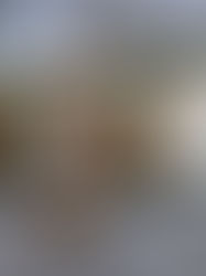 Montecito’s Little Slice of Paradise