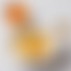 The Rochers in Wonderland