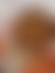 GRAB and GO: Takeout Options in Santa Barbara