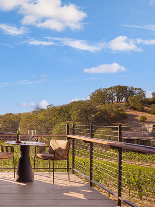 Rosé Colored Glasses