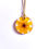 Miniatura: Cosmos Amarelo 