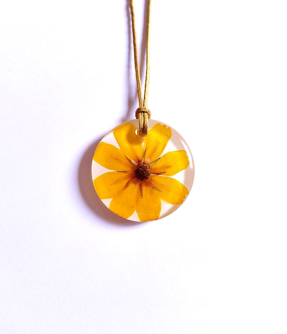 Miniatura: Cosmos Amarelo 