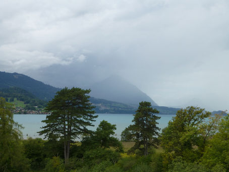 PROLOG: Die Gefährten im Auenland