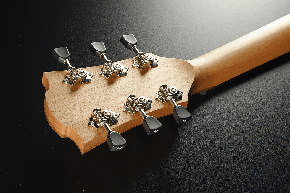 Miniature : LAG T70ACE Black Satin