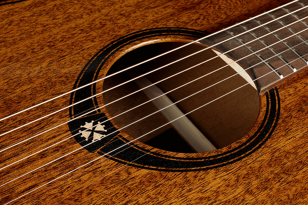 Miniature : LAG T98D Acajou