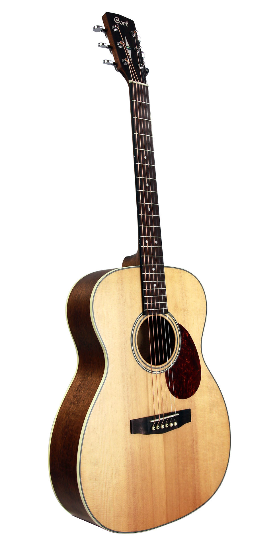 Miniature : CORT L100OMNS