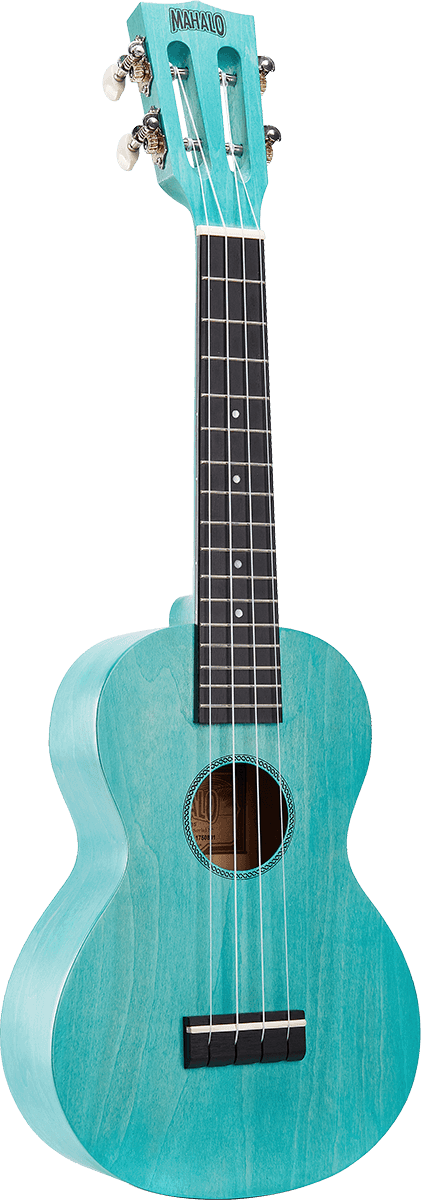 Miniature : MAHALO ML2  Aqua Blue+housse