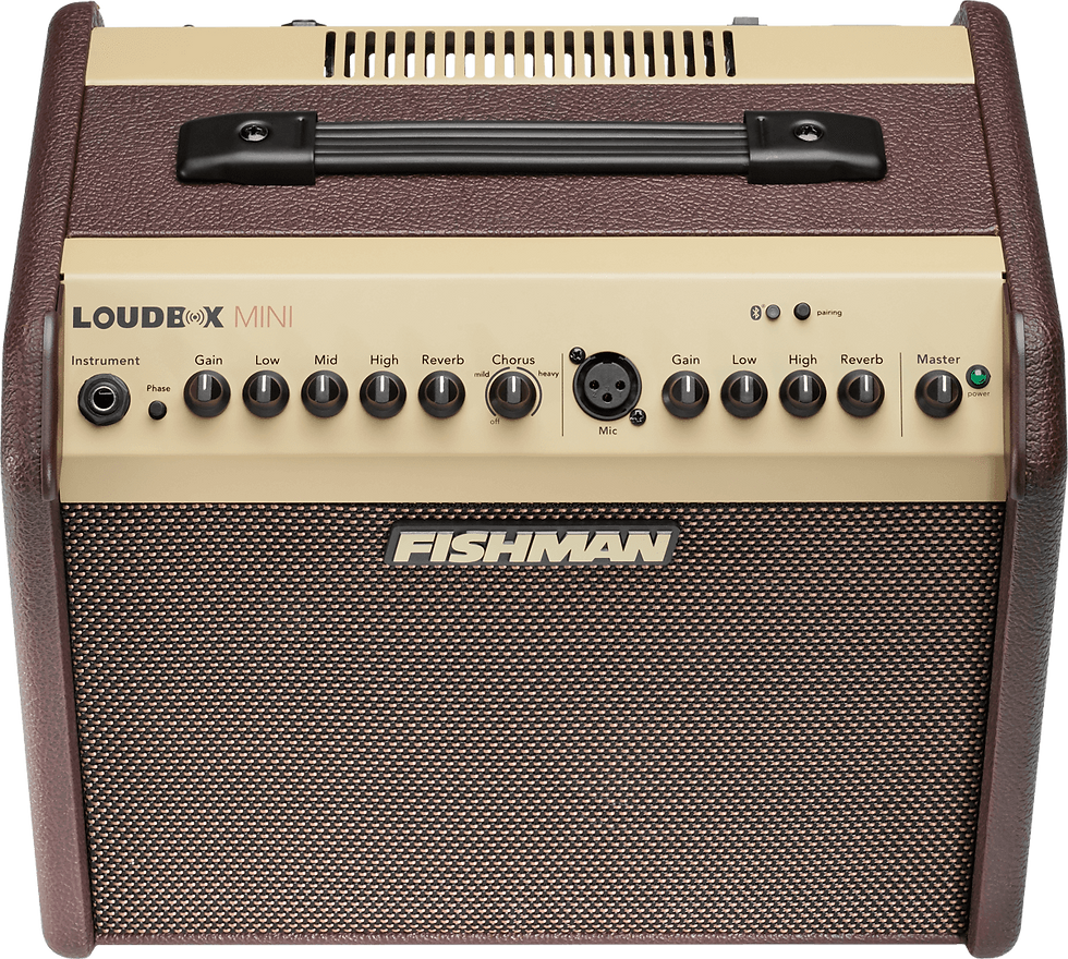 Miniature : FISHMAN LBX500