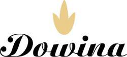LOGO DOWINA