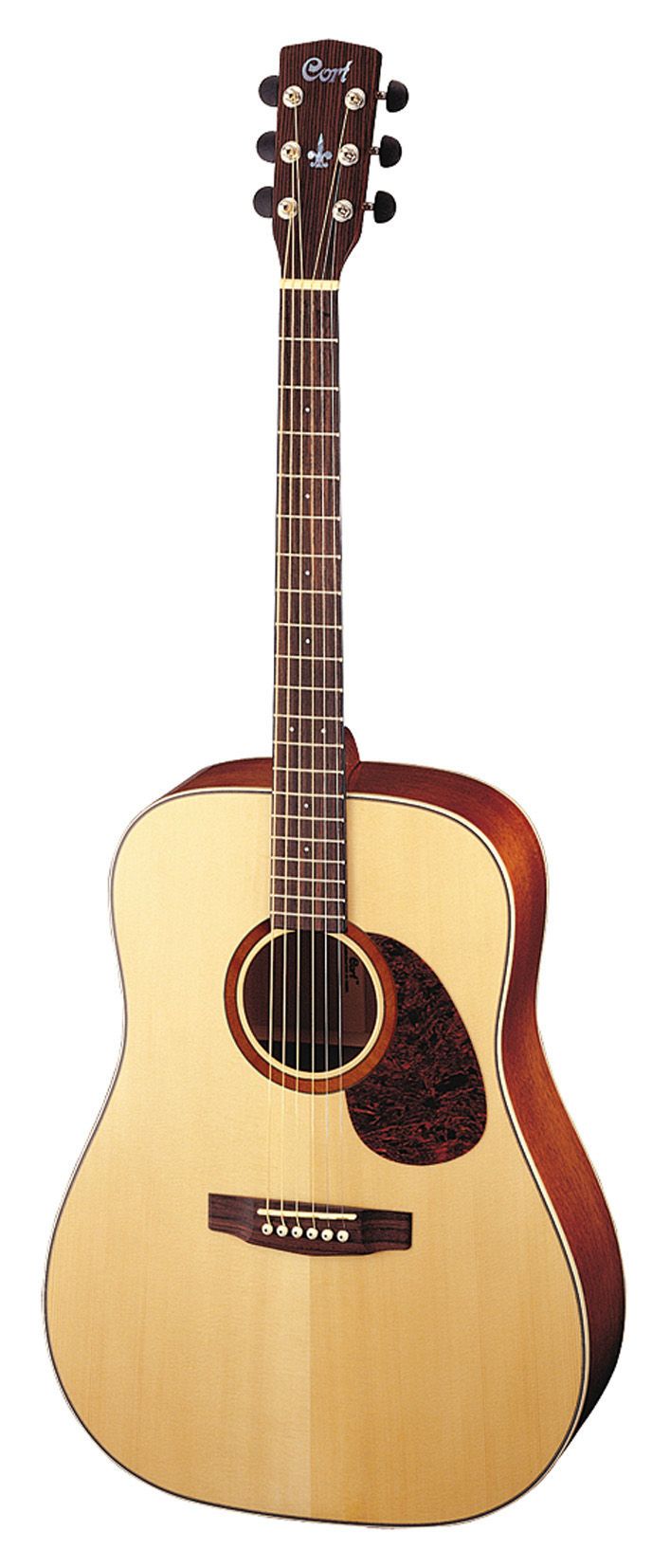 CORT E100FTF Naturel Satiné