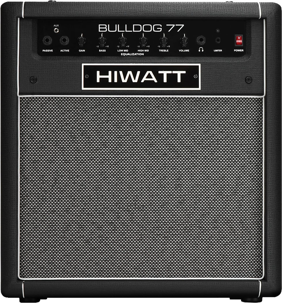 Miniature : HIWATT BULLDOG-77C