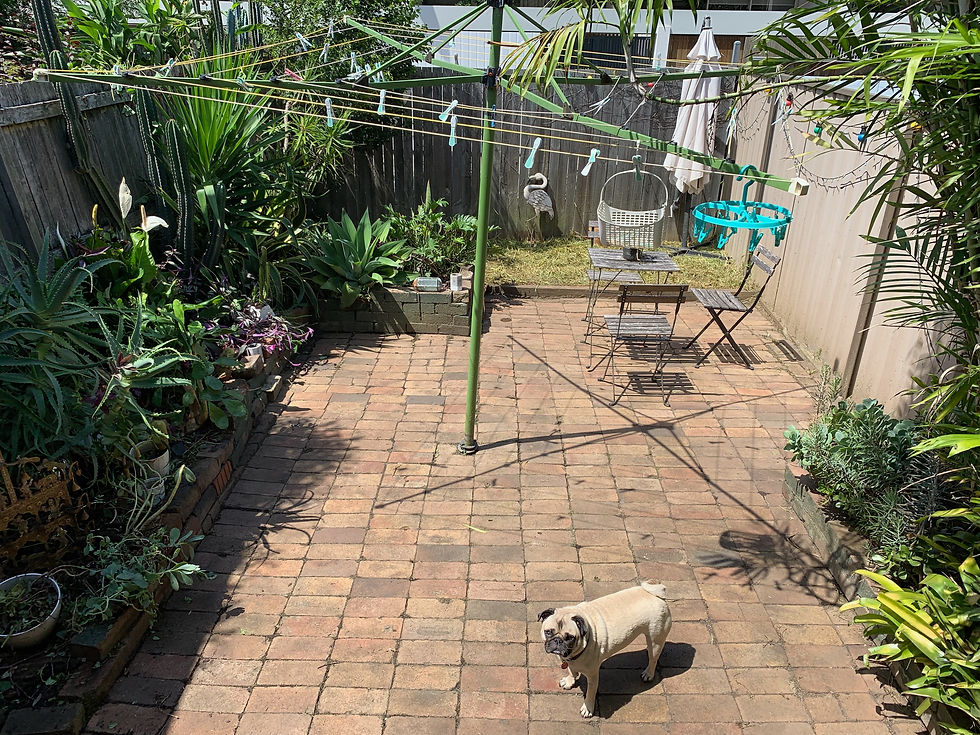 Lawn Mowing Coogee