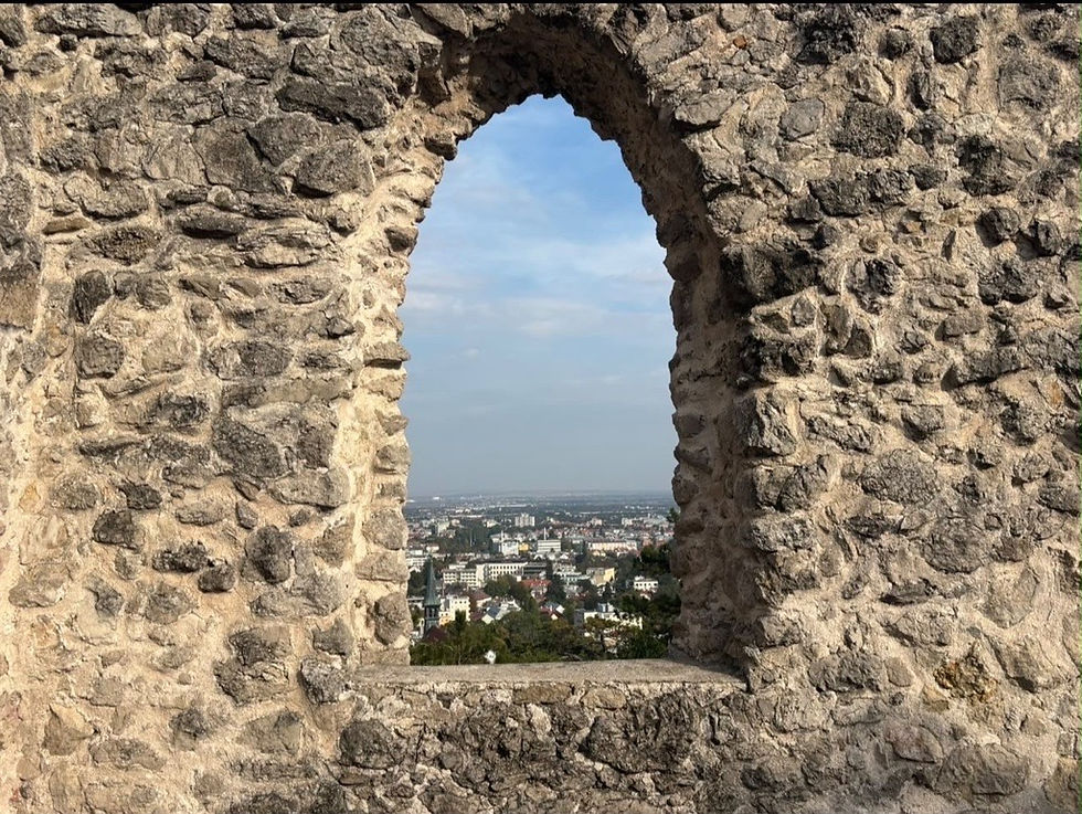 Wanderung zur Burg Liechtenstein | 7a