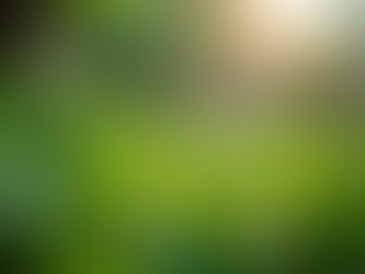 The Importance of Sustainable Living in Today's World