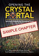 Sample chapter cover.jpg