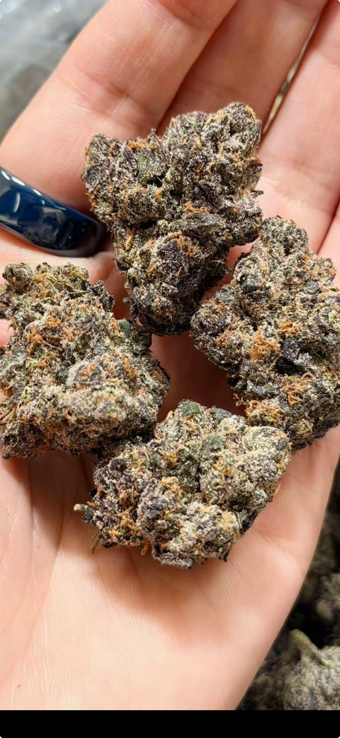 Lab tested Organics (mix & match)