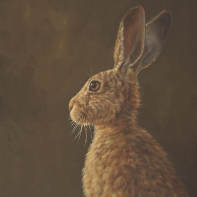 Hare #2 Profile.png