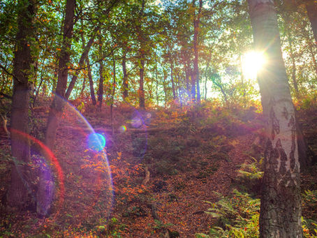 Adapting to Vata Season (autumn/fall) with Ayurveda