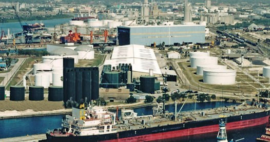 Amalie Plant Florida 02.jpg