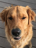 image1.jpeg