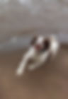 image2(2).jpeg