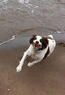 image2(2).jpeg