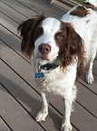 image2(1).jpeg