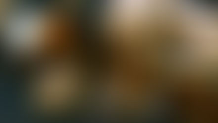 Genealogist's Treasures