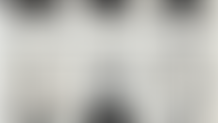 Transforming Police Force Management with the ICMG Anatomy Model: A Unified Approach to Public Safety