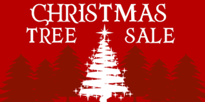 Christmas Tree Sale