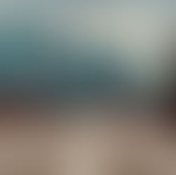 Celebrating 2024 and Looking Ahead to 2025: A Catalyst for Change