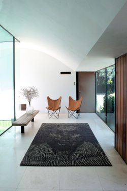 SHAKESPEARE IN AFRICA_ambient