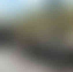 fermer-ou-couvrir-votre-pergola-bois