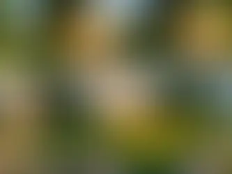 5 Essential Steps to Successfully Self-Publish Your Own Book: A Comprehensive Guide from Start to Finish