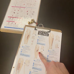 Detailed chart of muscle groups used during neuromuscular therapy sessions.