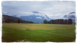 mobli_img_2015-07-29_17.25.35