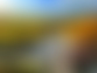 פולין בצבעי שלכת: מסע בעקבות חלום שהתגשם