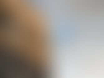 The Rise of the Entrepreneurial Empire